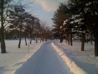 公園