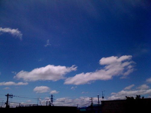 photo.jpg