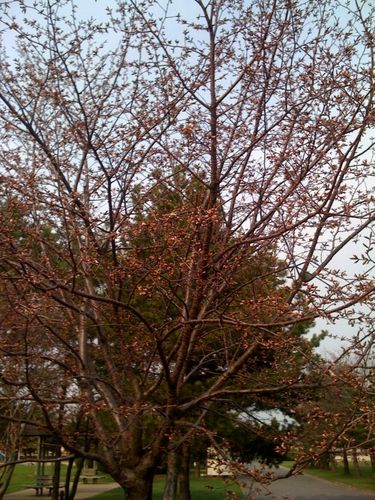 photo.jpg