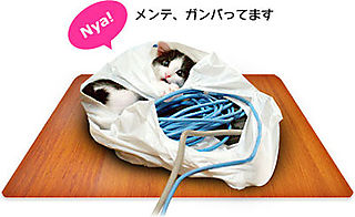 クマキチノスアナ - via sorry.blog.livedoor.com