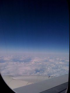 久しぶりの青空