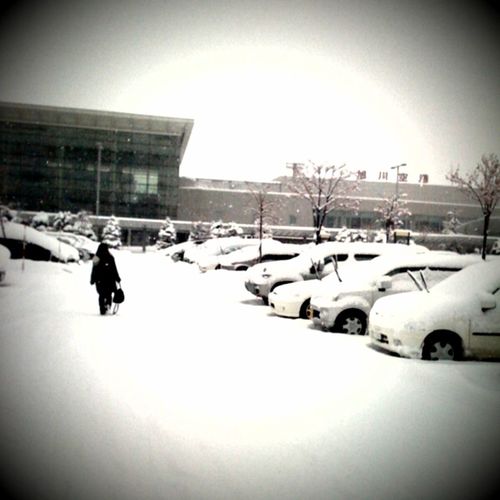 photo.jpg