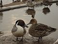 休憩中の会話