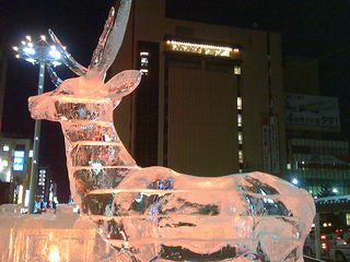 シカさんもこんばんは