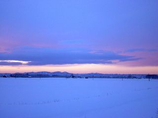 元画像