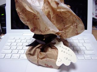 この袋の中に...
