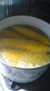 070819_1019~03.jpg