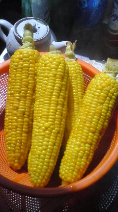 070819_1026~01.jpg