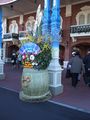 ディズニーランドの角松
