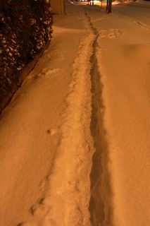 バランス感覚が求められる