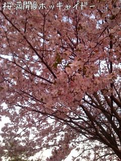 休日出勤の帰りに寄ってみた。
