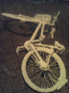 081104_2020~01.jpg