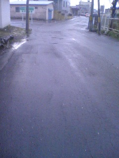 081104_0817~01.jpg