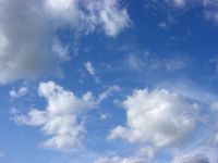 秋の美瑛富良野