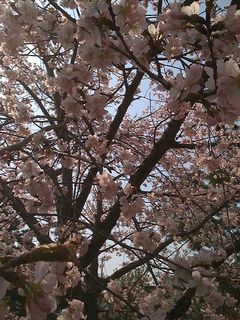 公園散歩21
