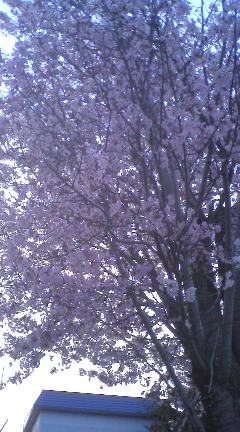 080425_1805~01.jpg