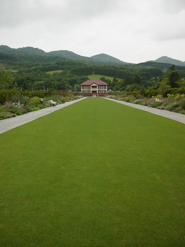 緑の道