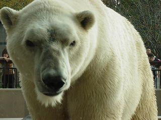 写真と本文は関係ありませんよー