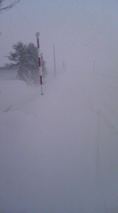 080104_1019~01.jpg