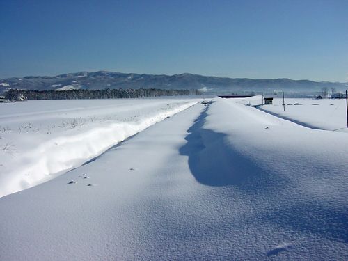 雪は川を覆い尽くす