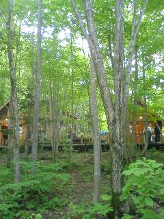 070623_1502~01.jpg