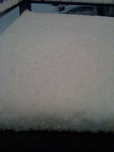 photo.jpg