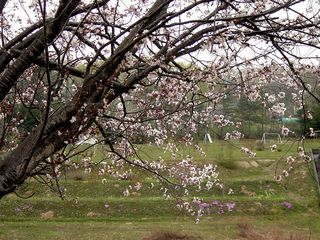DSC09062