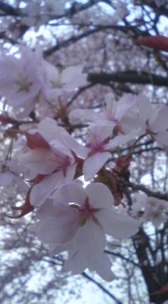 080426_1730~02.jpg
