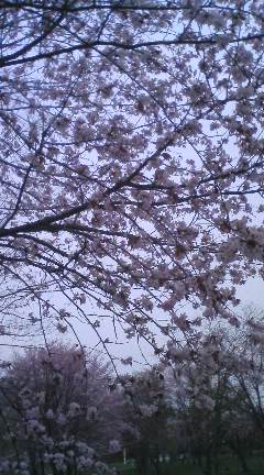 080426_1728~01.jpg