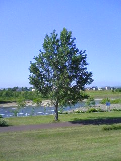 070701_1453~01.jpg